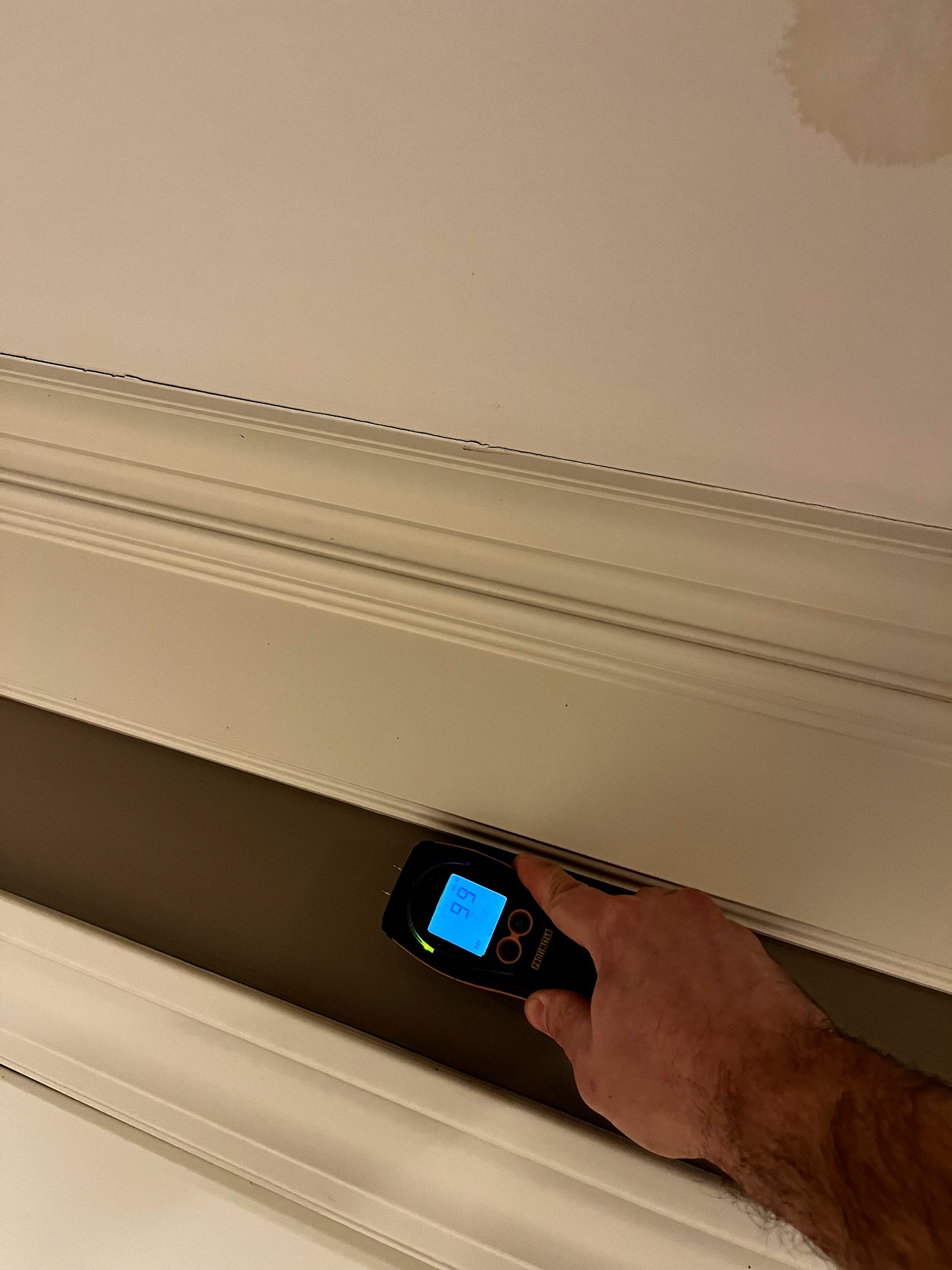 Moisture detected in crown molding after water damage — Georgetown, MI