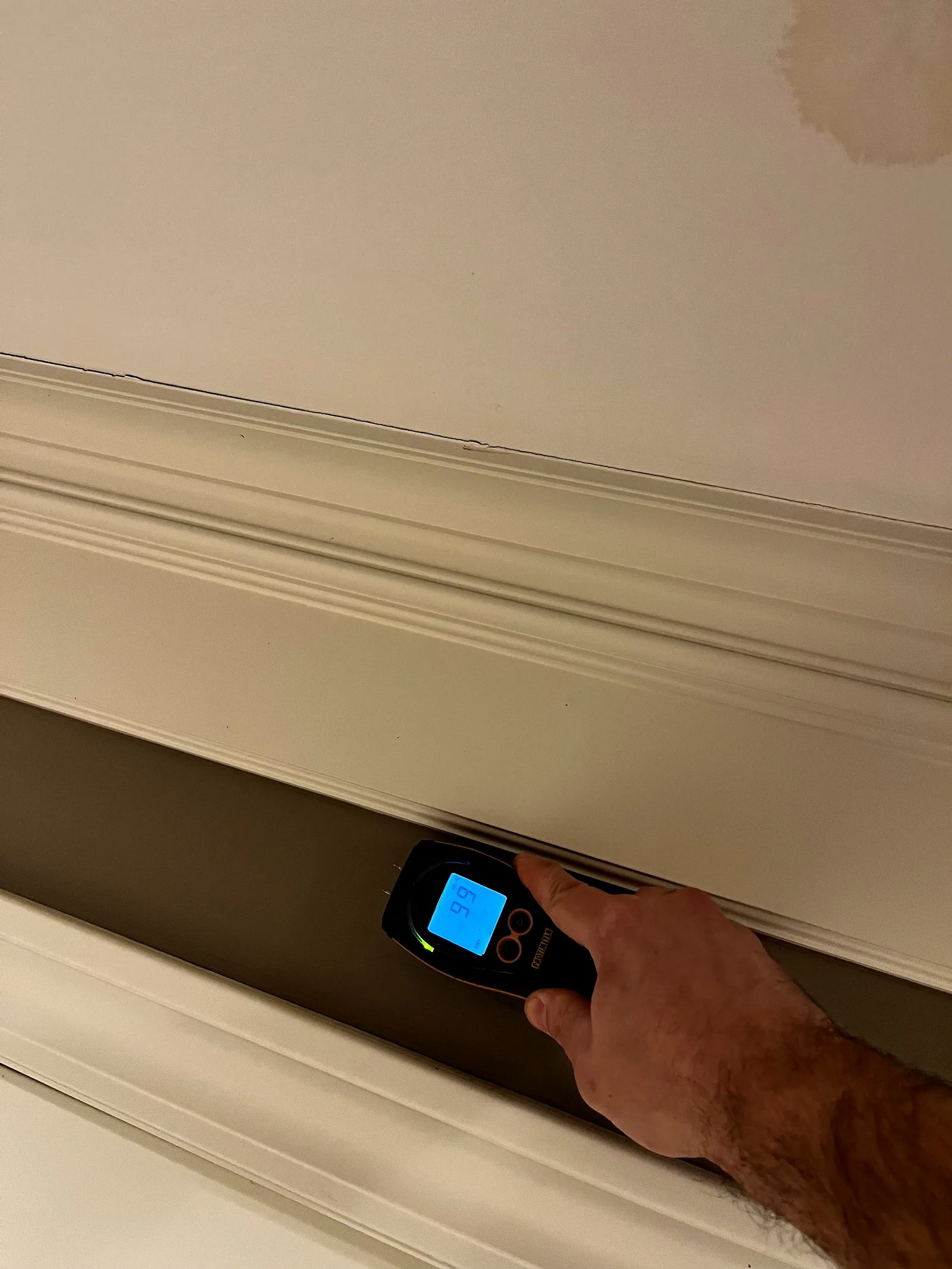 Moisture meter reading in crown molding showing high MC after water damage in Grand Rapids basement, indicating mold growth risk