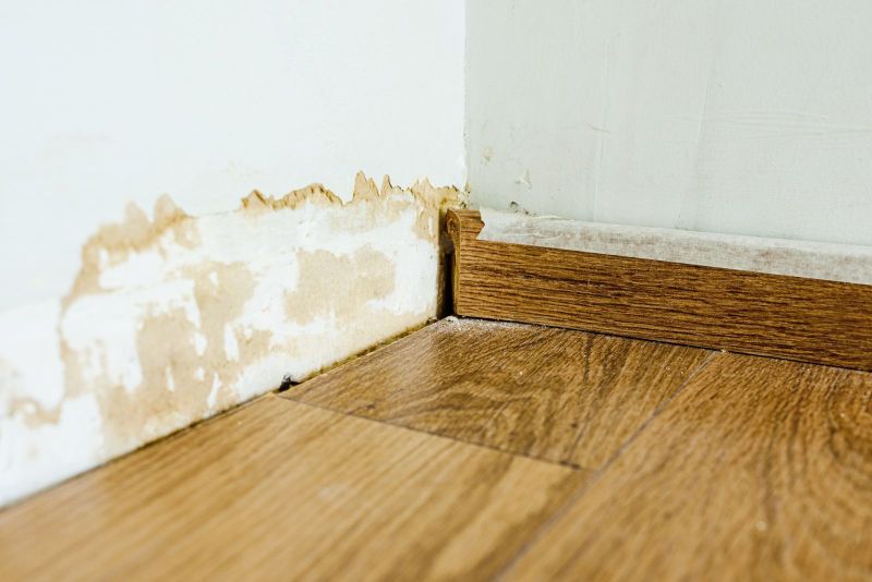 Understanding the Impact of Mold on Indoor Air Quality