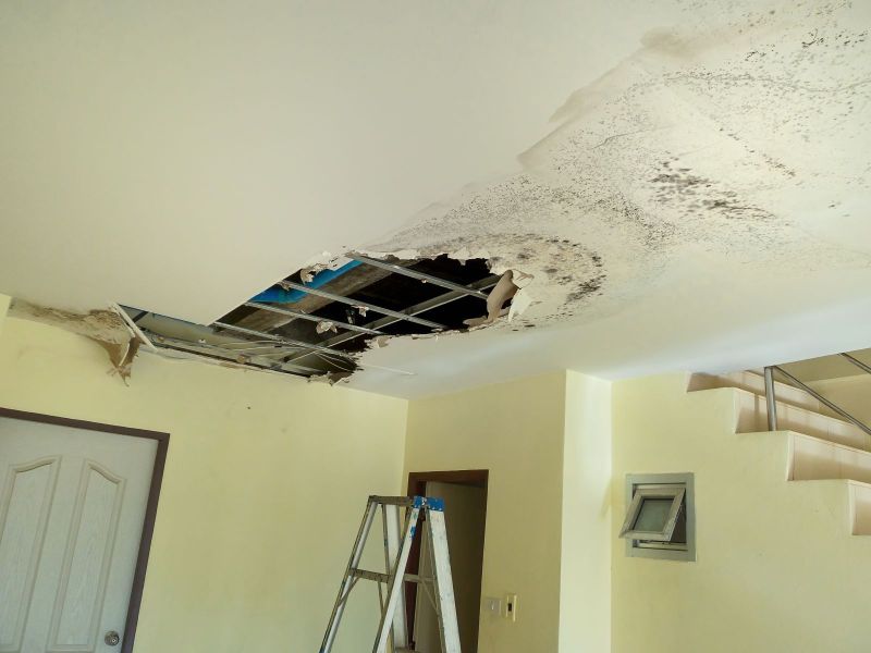 Restoring Your Peace of Mind: How Water Damage Professionals Can Help