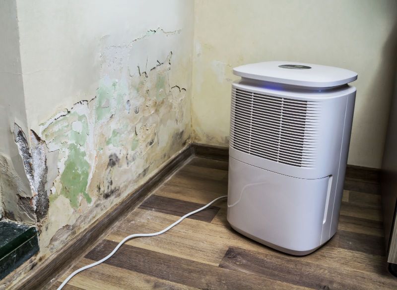 Dehumidification 101: How to Prevent Mold After Water Damage Post Image