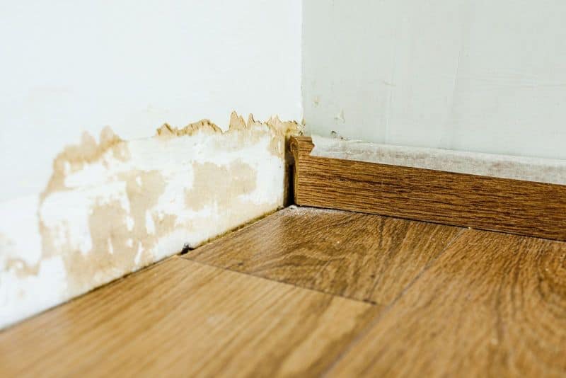 Understanding the Impact of Mold on Indoor Air Quality Post Image