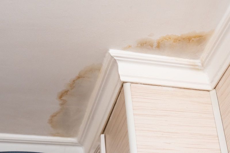 Preventing Mold Damage: Tips for a Healthy Home Post Image