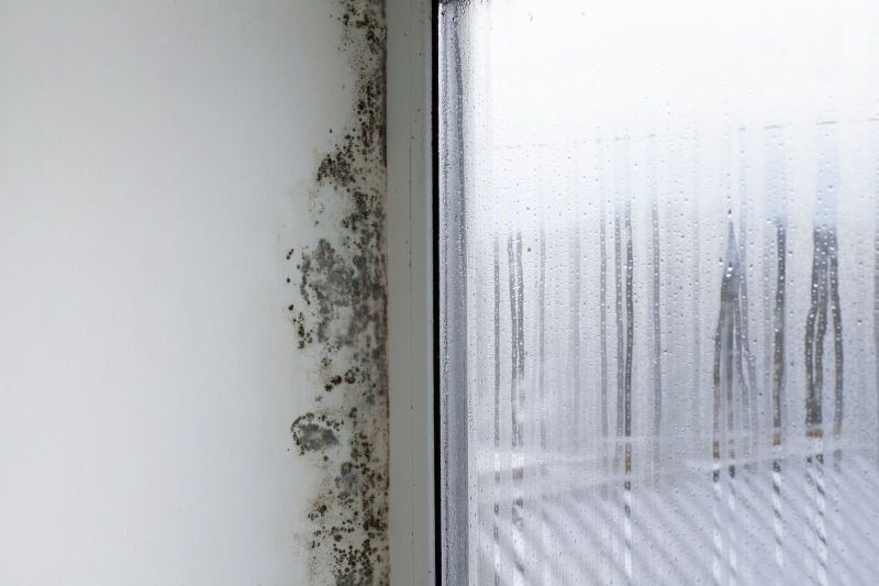 Mold Testing and Remediation: Protecting Your Home and Health Post Image