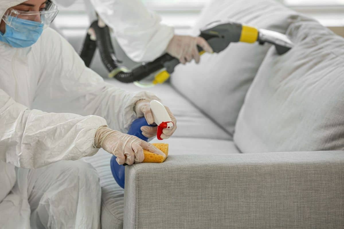 Reasons Why You May Need A Professional Biohazard Cleanup Crew Post Image