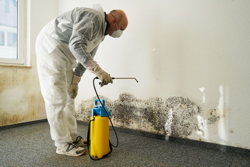 Battling Mold: Understanding the Importance of Testing and Remediation in Disaster Restoration Post Image