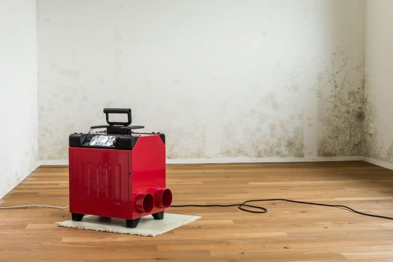 The Science of Dehumidification: How We Restore Your Property to Its Original Condition Post Image