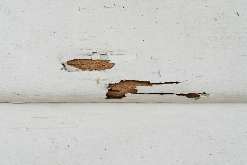 Home Corrosion Control: Tips and Tricks for Protecting Your Property. Post Image