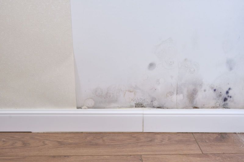 How Mold Affects Children Post Image