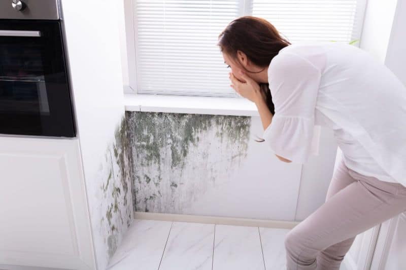 Here’s What You Need To Know About The Dangers Of Mold In Your Home Post Image