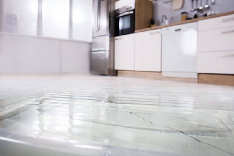 The Ultimate Guide to Water Damage Restoration: What You Need to Know Post Image