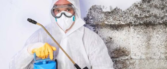 Preventing Future Mold Growth